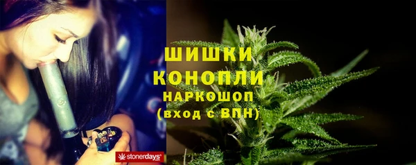 ПСИЛОЦИБИНОВЫЕ ГРИБЫ Алексеевка