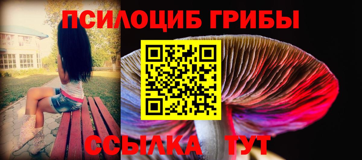 Галлюциногенные грибы Psilocybine cubensis  Вход с VPN  Обнинск 