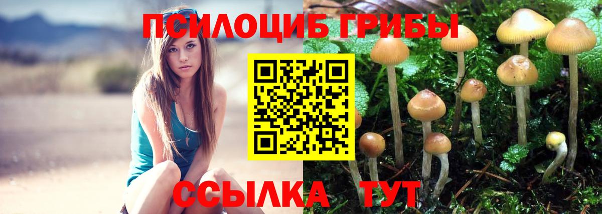 Галлюциногенные грибы Magic Shrooms Обнинск
