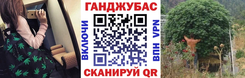 Каннабис индика Обнинск